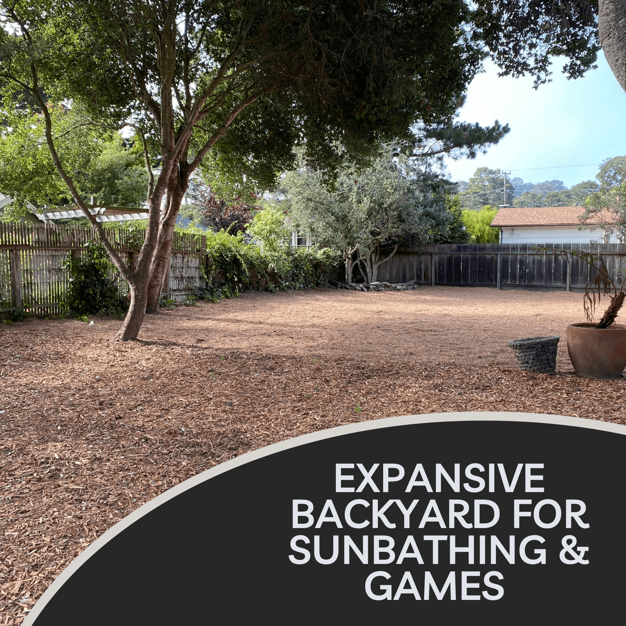 Expansive backyard for sunbathing and games